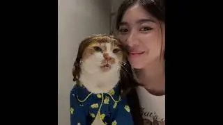 How Cats Show Love to Their Owners &ndash; Cutest Moments Ever! #CatsLovingHumans #CatAffection