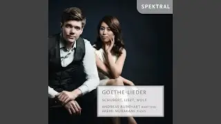 Schubert: An Schwager Kronos
