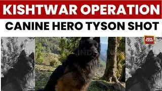 Kishtwar Encounter | Canine Soldier Tyson Takes First Bullet | Spots Jaish Terrorists In Kishtwar Op