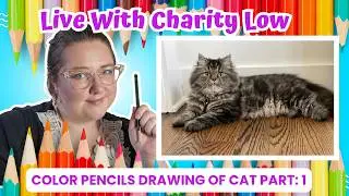 Da Vinci Eye App With Charity Low Ep:46 ( Portrait of Cat Part 1)