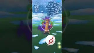 How to Beat Team Rocket Go Rock Type Grunt | Shadow Sudowoodo Encounter