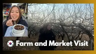 A Visit to the Farm and Market on our Last Day
