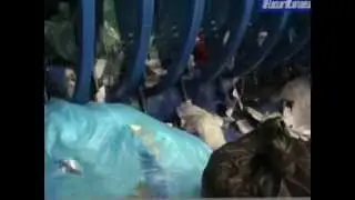 Aprisacchi Hartner.wmv
