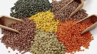 What are Pulses