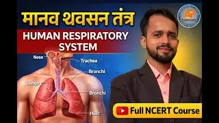 Human Respiratory System | मानव श्वसन तंत्र | Biology by Umesh Sir | Pathshala Career