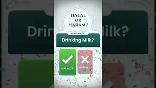 Halal or Haram Quiz for Kids and adults | Learn Islam Easily