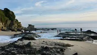 Laguna Beach/Alison Beach California 