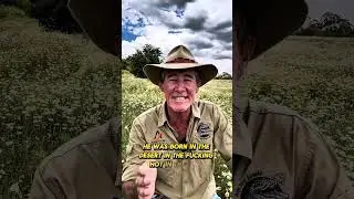 Лучшие и худшие моменты с Crocs. Часть 2 🐊🇦🇺 #crocturnbull #askanyaussie #australia #aussiehumour