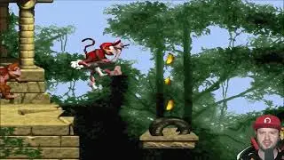 Domtendo - Best of Donkey Kong Country