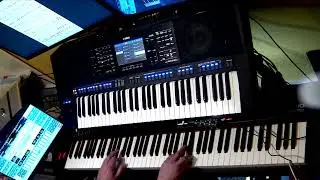 LITTLE WALTZ KETRON EVM, YAMAHA SX920 AND ROLAND FANTOM XR