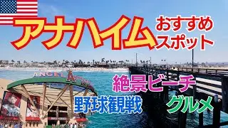 【旅行Vlog#3】アナハイムで遊び尽くす１日
