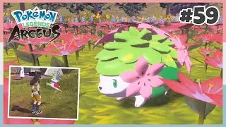 How To Catch Shaymin & Change Its Form Using Gracidea In Pokemon Legends Arceus #59 *No Commentary*