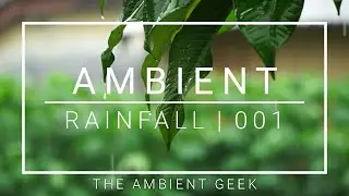 Ambient Rainfall White Noise and Looping Video | Relaxation | Meditation | Calm | Focus Sound