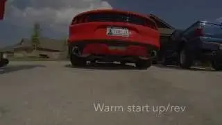 2015 Mustang GT Corsa Sport Catback