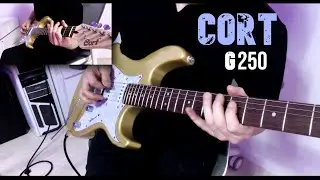 콜트 G250 리뷰연주 / Blues Saraceno - Full Tank