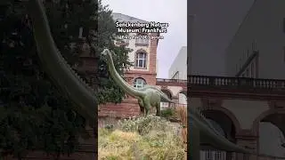 Senckenberg Nature Museum, Frankfurt #frankfurt #museum #jurassicpark #germany #germanytourism