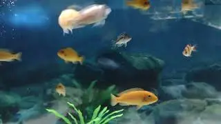 Oh No...Not Again!!!
