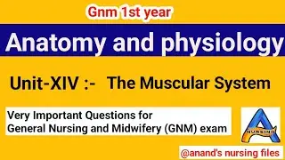 Gnm 1st year Anatomy & physiology Unit-XIV Muscular System Questions//Gnm first year Ana & Physio