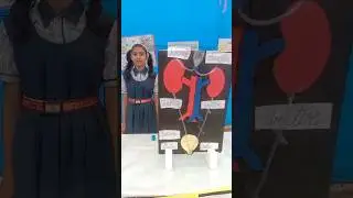 Kidney Analysis | Science Exhibition #school #hazaribagh