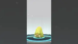 Max! Shundo CP3763 Mamoswine #shundo #shorts #short #pokemon #pokemongo #mamoswine