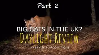 Big Cats in the UK - Part 2 - Daylight Review
