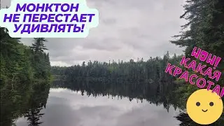 Монктон продолжает удивлять! Заповедник Mill Creek рядом с городом #жизньвканаде #монктон