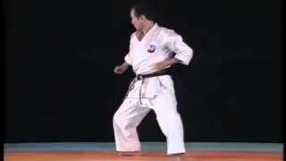 Wadokai Niseishi by Katsumi Hakoishi