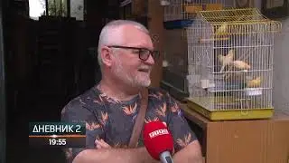 Uzgajanje ptica - najljepši hobi