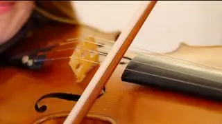 Não deixe o Samba Morrer | Alcione - versão Maria Rita | Anna Murakawa | Violin