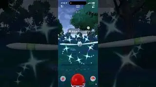 Catch Shiny Wingull in Pok&eacute;mon Go #pokemon #shiny #pokemongo