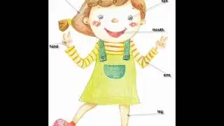 First Friends-1 Vocabulary - My body