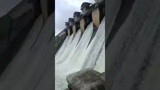 Massive Dam Water Release | Powerful Water Flow 🌊 | Nature&rsquo;s Fury Caught on Camera! #Shorts