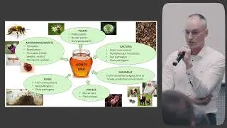Kaarel Krjut&scaron;kov PhD - Honey bulk DNA testing can stop honey laundering / Eurobee 2024