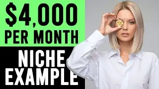 Print On Demand niche store example ($4,000 per month PROFIT)