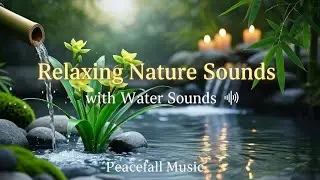 Relaxing Music with Nature Sounds: Peaceful Piano & Guitar for sleep, Study And Working