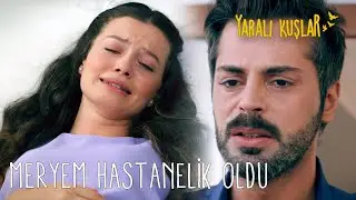 Levent Meryem'in yanından ayrılmıyor... | Yaralı Kuşlar