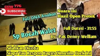 SP TOP BOCAH WALET 31:55 - SUARA PANGGIL BOCAH WALET SUPER SEDOT ANAKAN