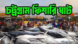 চট্টগ্রাম ফিশারী ঘাটে ছোট বড় বৈচিত্রময় সামুদ্রিক মাছের বাজার দেখে নিন!