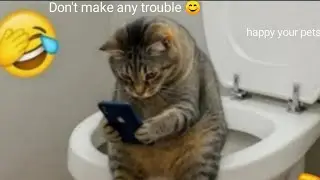 Best Funny Pets Video That Will Make You Smile 😍