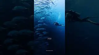 How Deep Can a Human Swim Without Dying? 😨🌊
