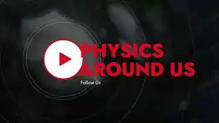 Do Animals Know Physics? 🐻🐦🐟