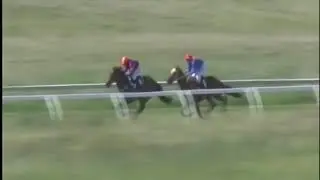 Race 5 Mansfield District Racing Club 7th November 2017