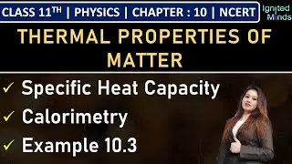 Class 11th Physics | Specific Heat Capacity | Calorimetry | Example 10.3 | Chapter 10 | NCERT