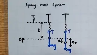 Mass-Spring System