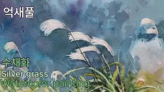 억새풀 /수채화 /Silver grass /억새 그리기 /Watercolor painting
