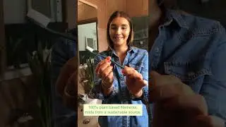 Wisdom re:new Clean toothbrush (triple pack)