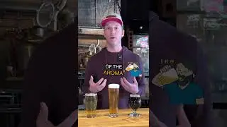 Different Glasses For Different Beers