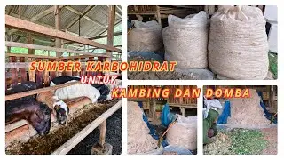Cheap carbohydrate source for goat and sheep feed