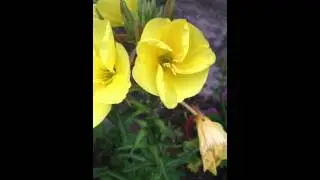 IMG 7608