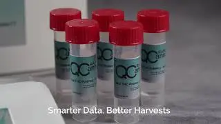 Rapid Cannabis Testing Kits for Growers